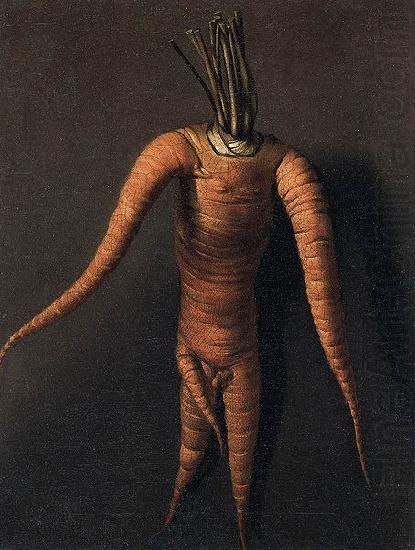 Carrot, unknow artist